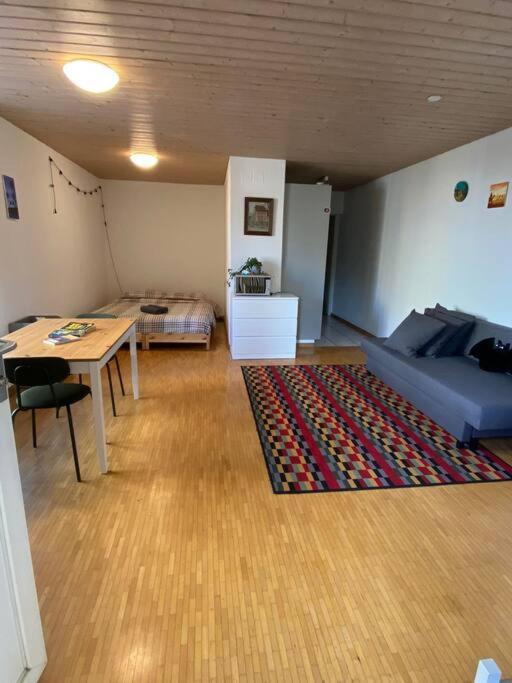チューリッヒUrban Retreat - Cozy Studio With Private Patioアパートメント エクステリア 写真